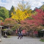 香川　遺品整理