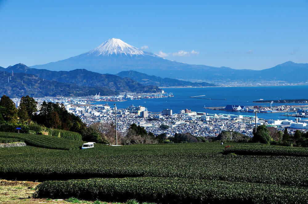 静岡のゴミ屋敷
