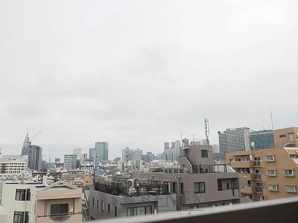 ラグジュアリーレジデンス新宿ソラーレの眺望