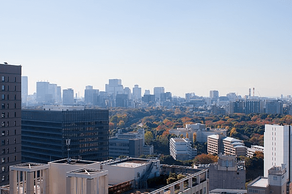 東京パークタワーの眺望