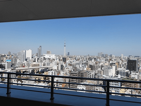 東京アインスリバーサイドタワーの眺望