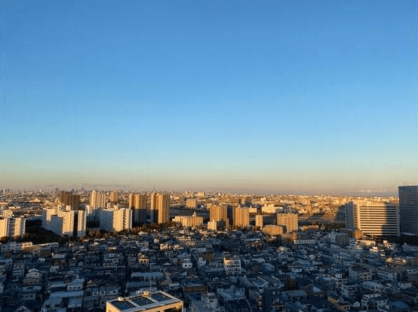 サンクタス川崎タワーの眺望