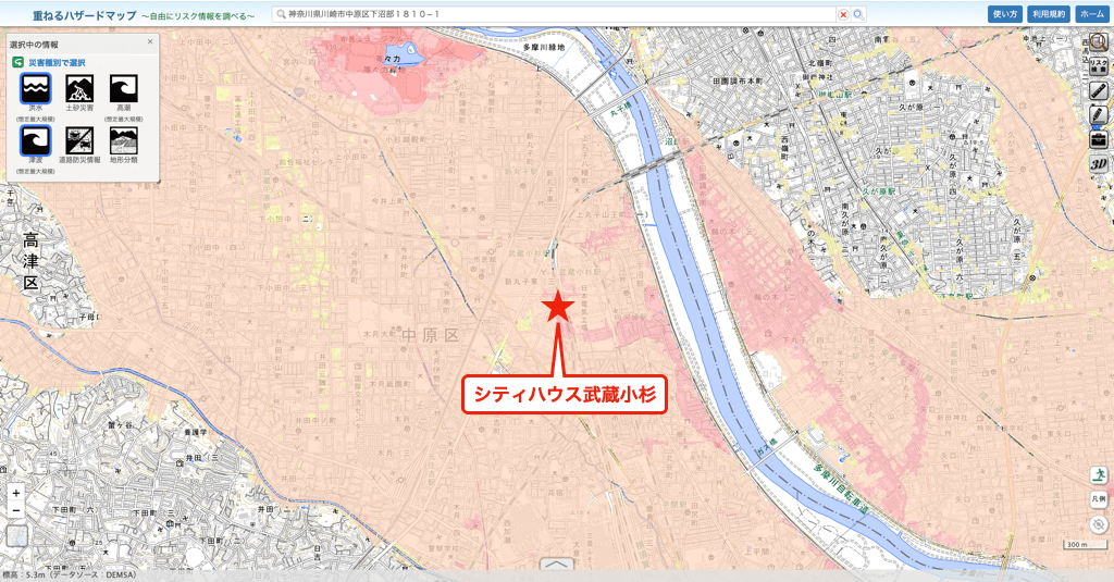 シティハウス武蔵小杉のハザードマップ