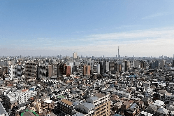 文京グリーンコートビュータワー本駒込の眺望